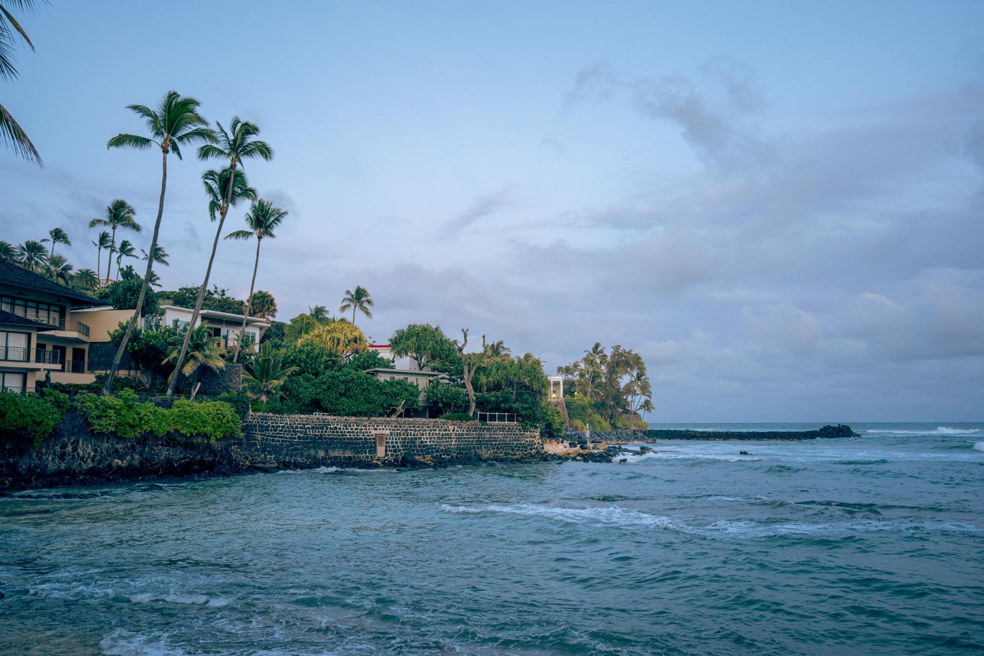 Quality-focused disintermediate database