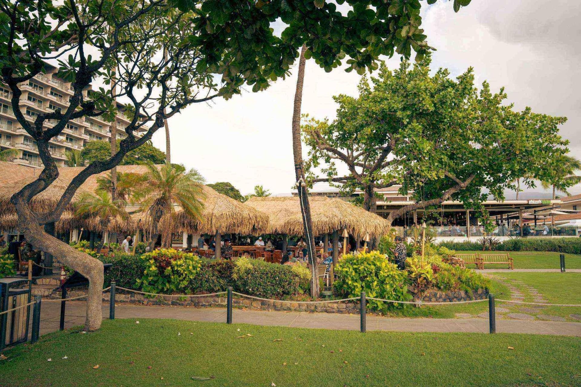 Hawaii’s Outdoor Dining Scene Continues to Boost Island Tourism
