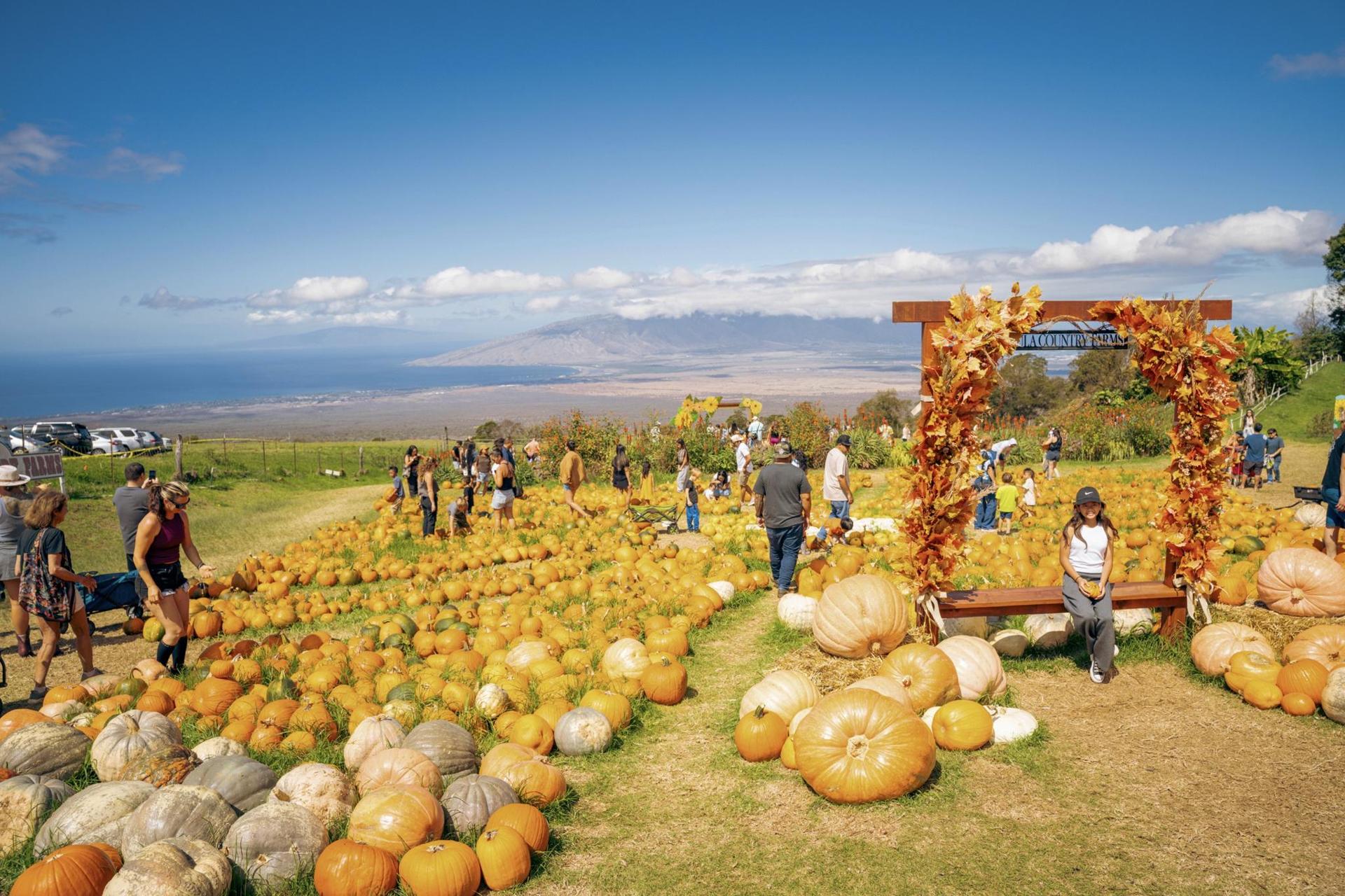 Hawaii Farm Festivals Offer Travelers a Taste of Island Life
