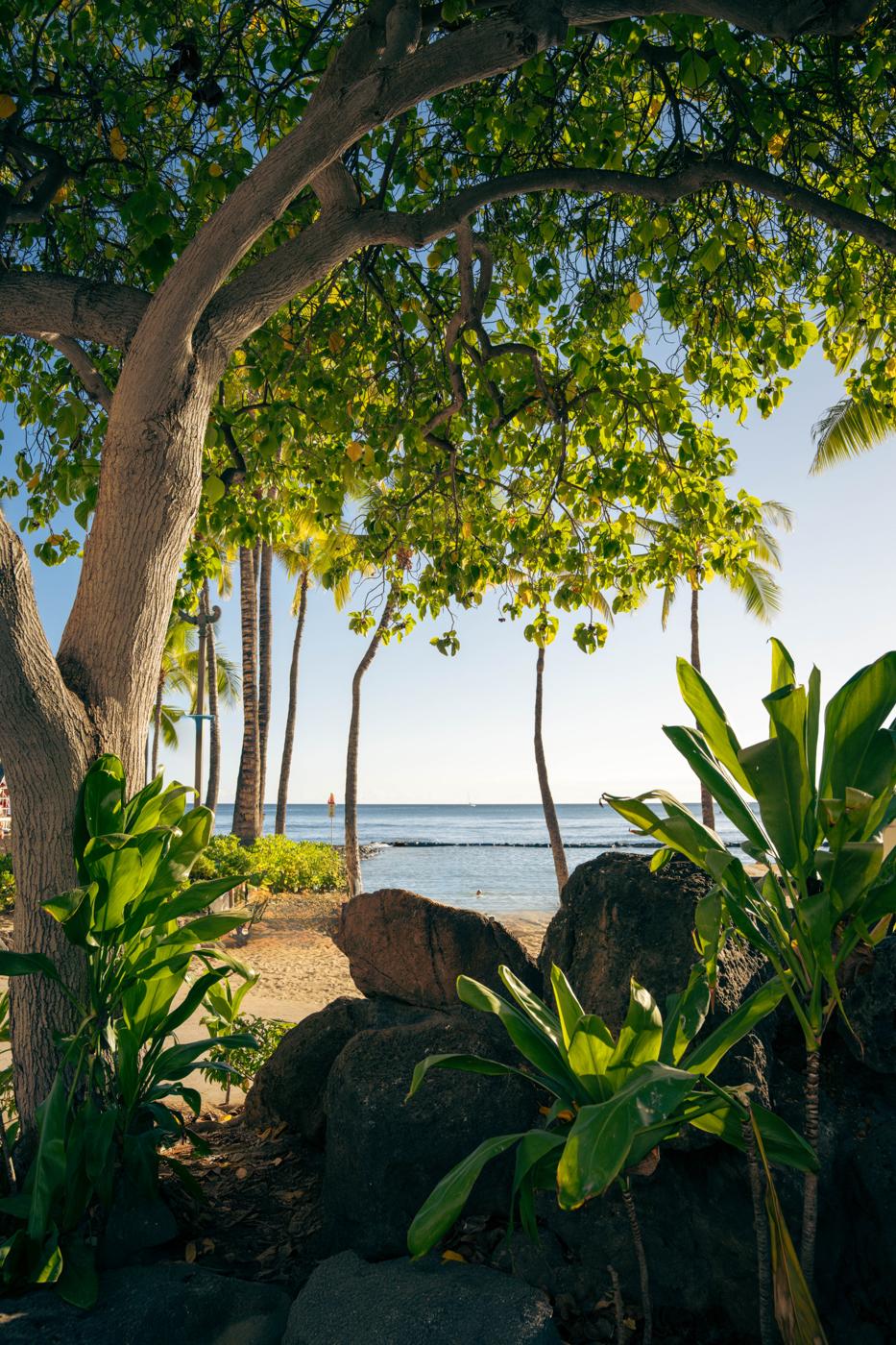 Compatible tangible approach