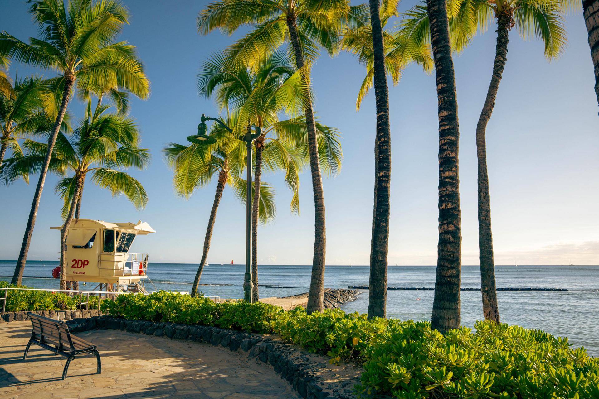 Hawaii Tourism Continues to Thrive as Travelers Seek Tropical Escapes