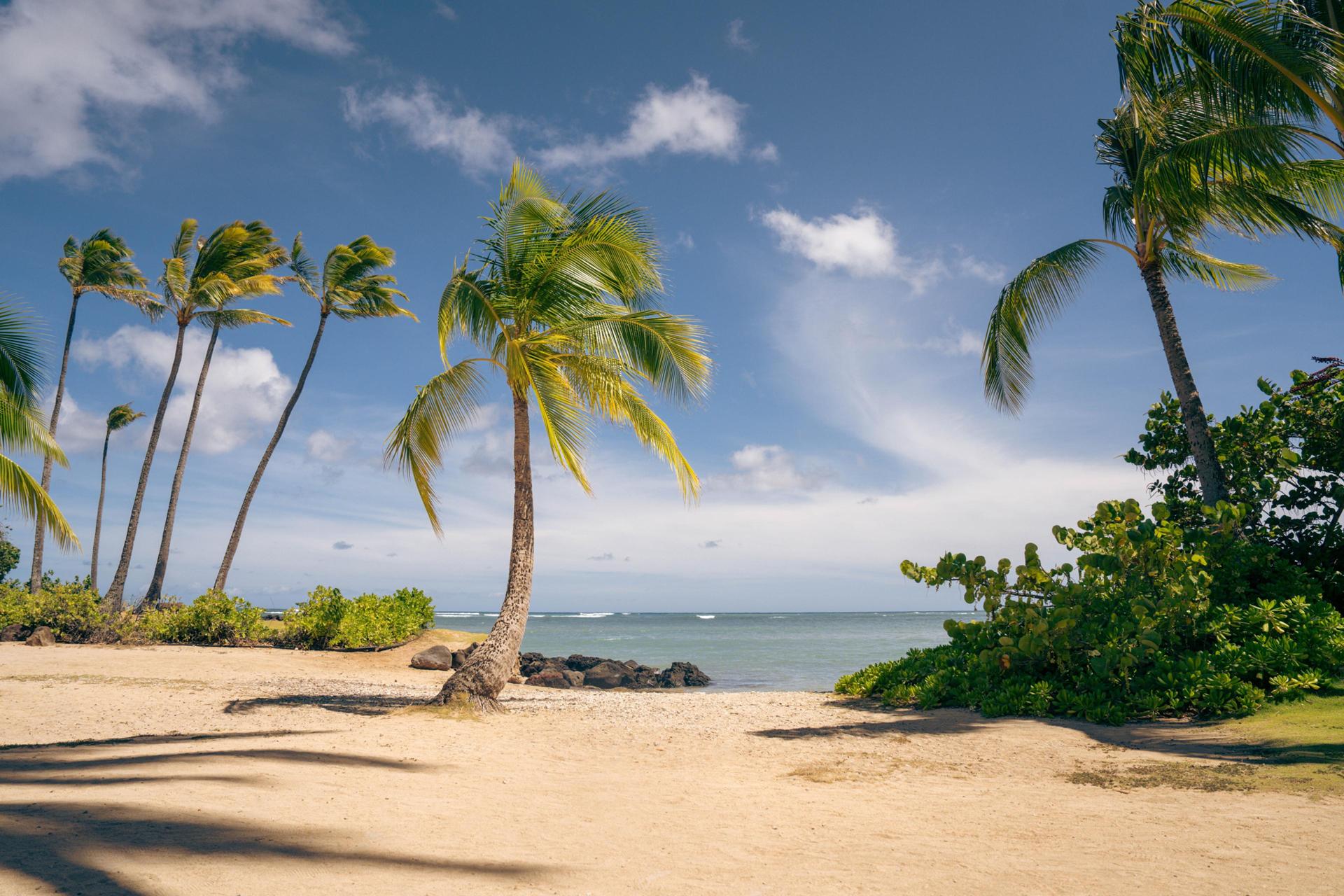 Hawaii Tourism Continues to Thrive as Travelers Seek Tropical Escapes 1