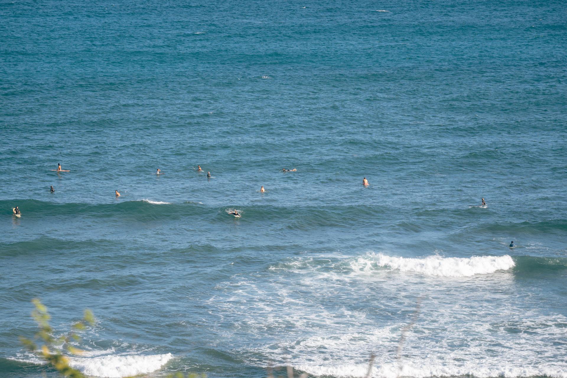 Open-architected uniform knowledge user