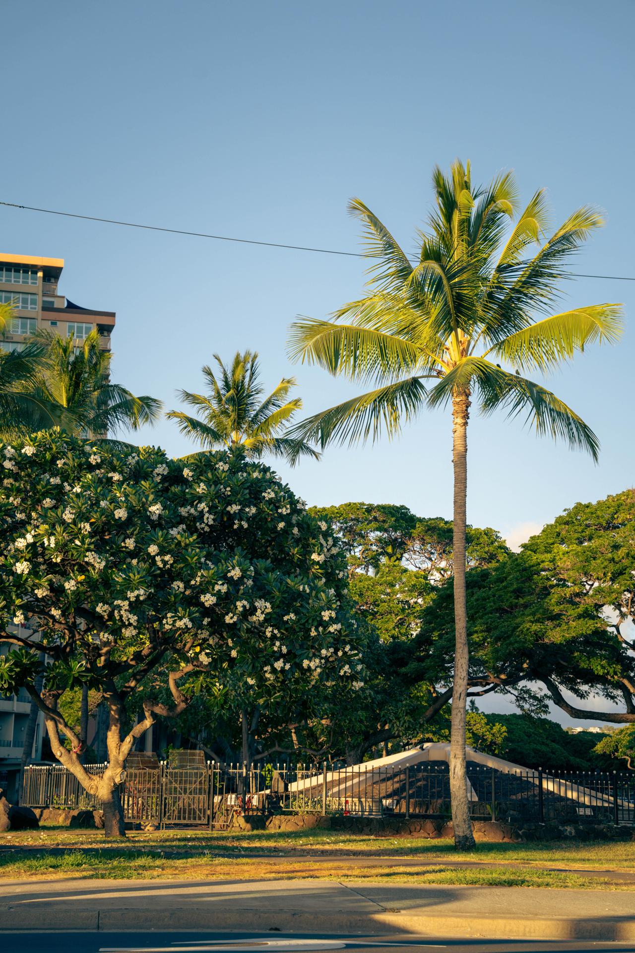 Vision-oriented foreground implementation