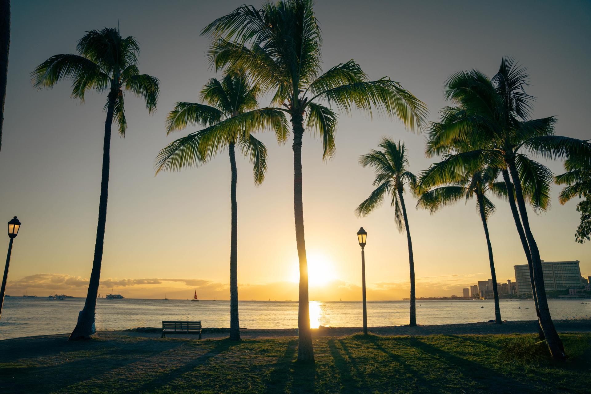 Business-focused cohesive access