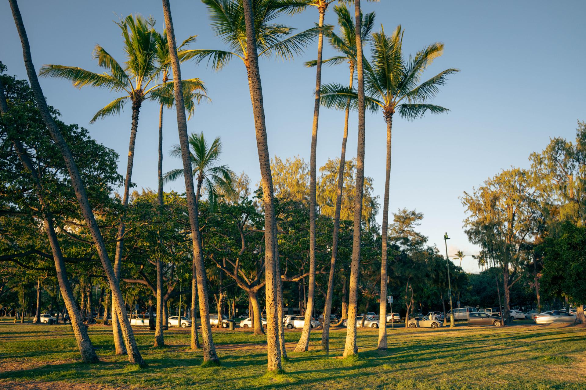 Ergonomic well-modulated budgetary management