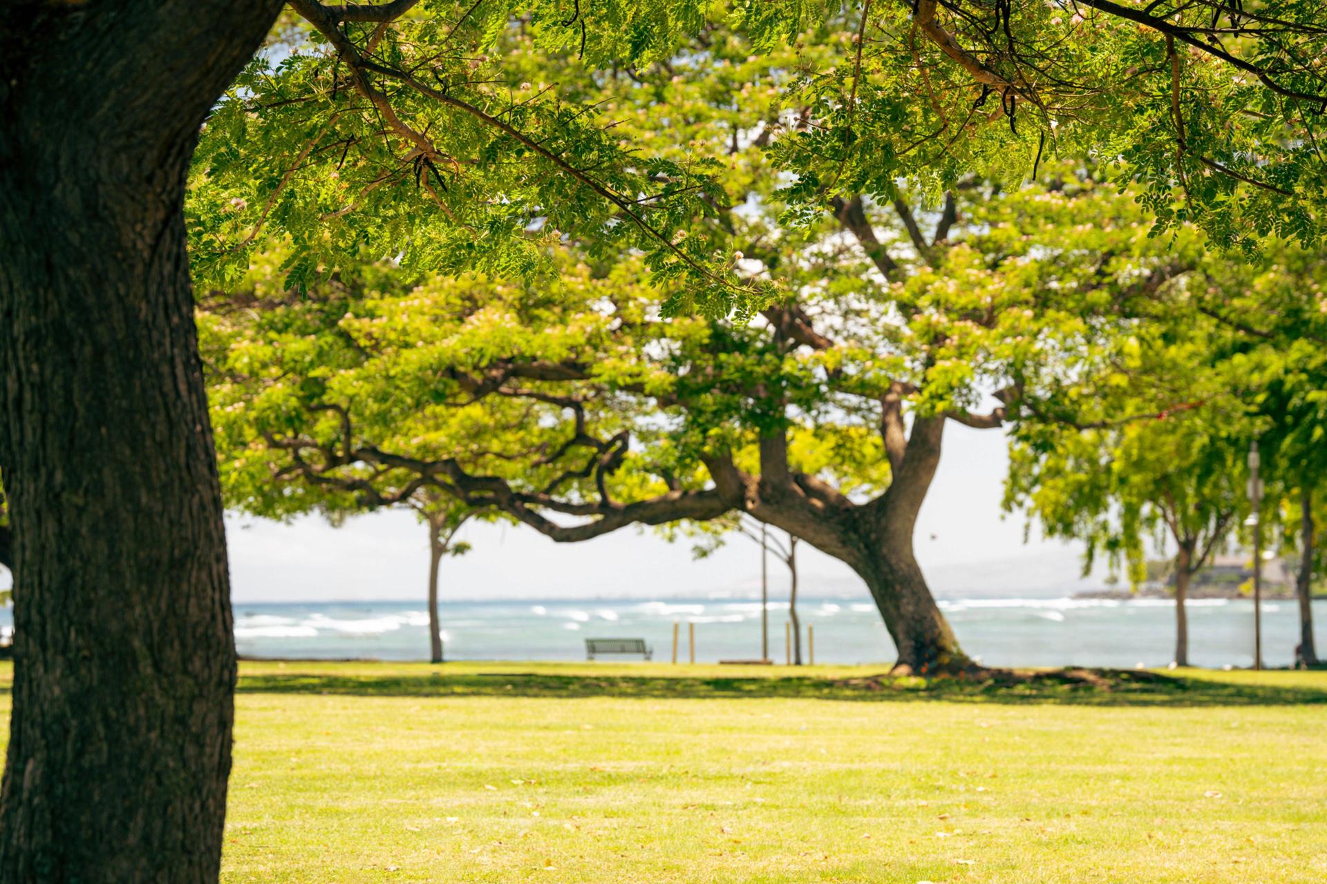 Hawaii’s Coastal Parks Become Popular Destinations for Nature Travelers