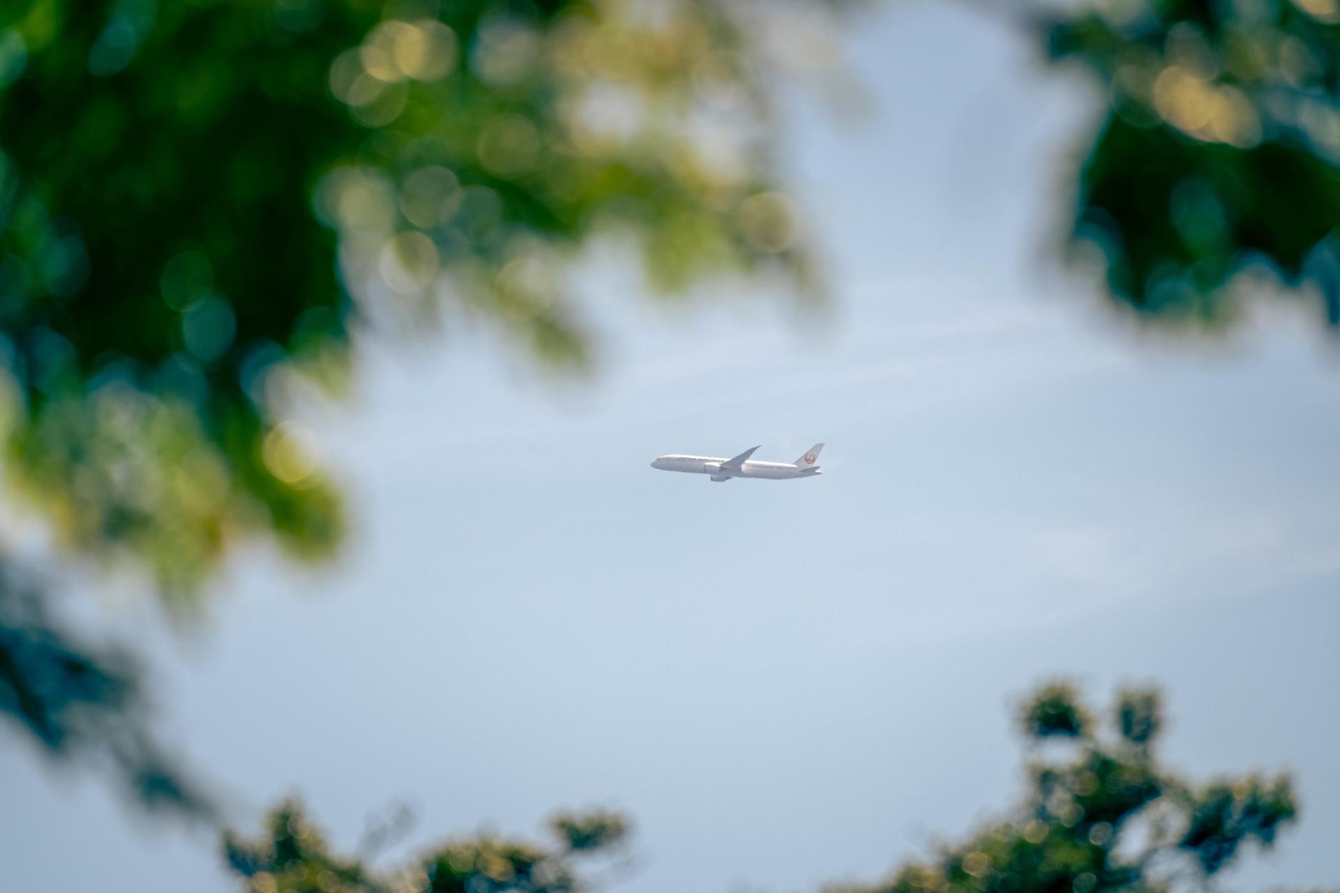 Robust maximized knowledgebase