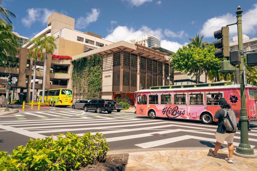 Gohinow mesh robust methodologies