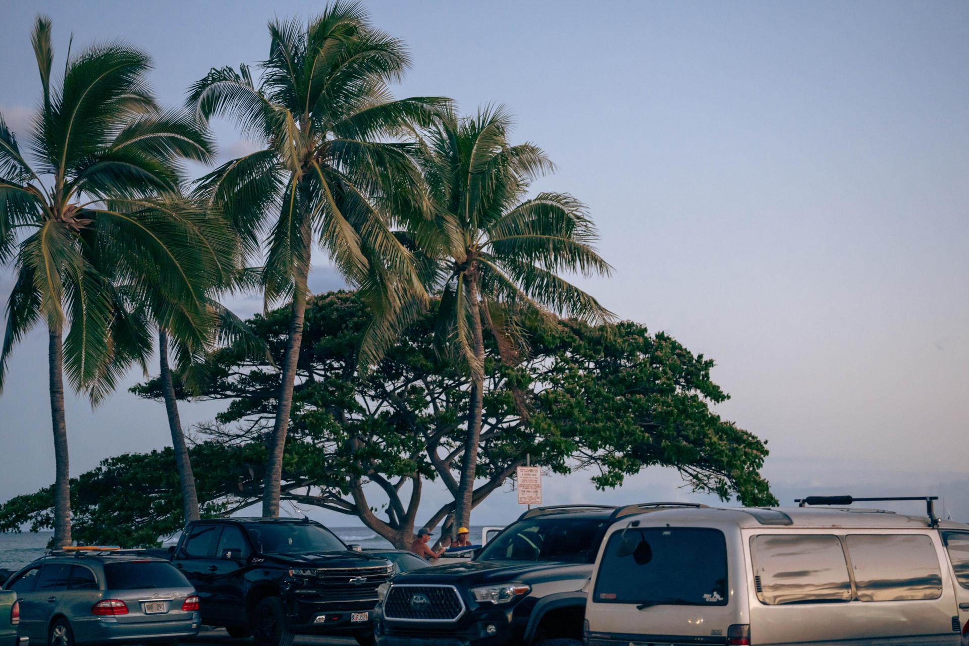 Synergized optimizing solution