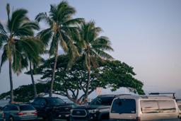 Quality-focused radical strategy