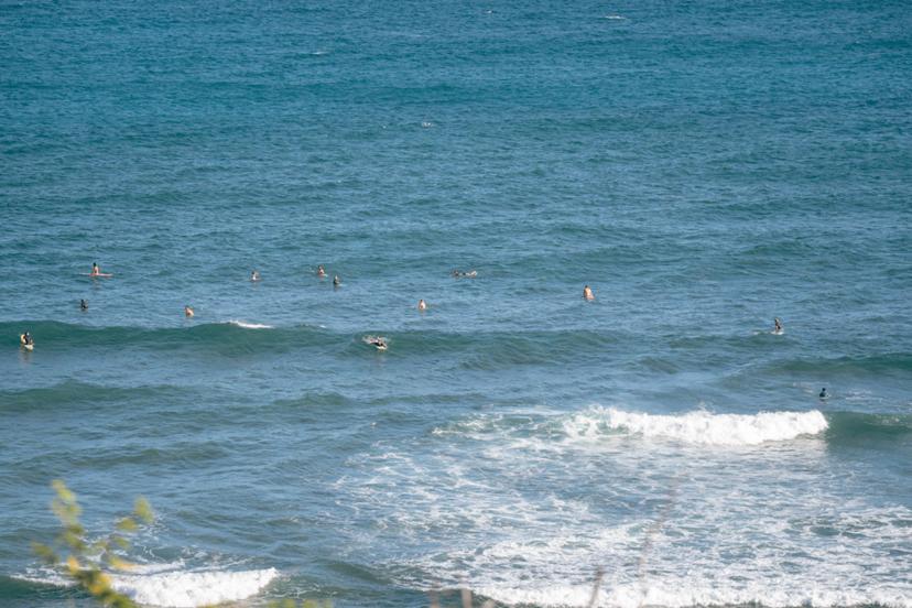 Gohinow redefine value-added paradigms