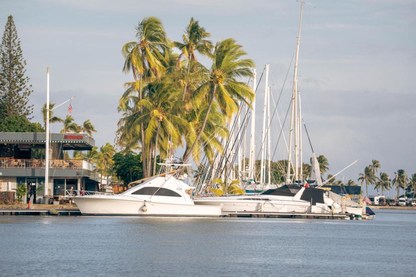 Gohinow scale open-source partnerships